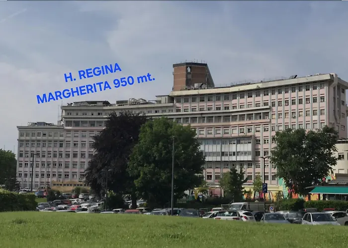 Apartment Dimora Telu' Trilocale Difronte Lingotto Fiere *
