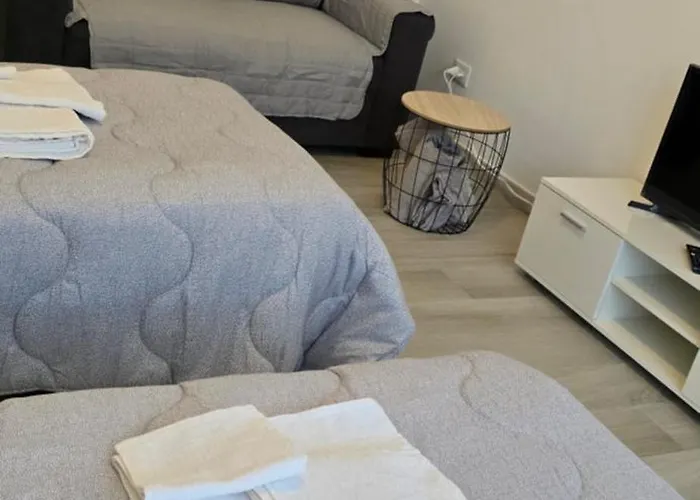 Apartment Dimora Telu' Trilocale Difronte Lingotto Fiere *