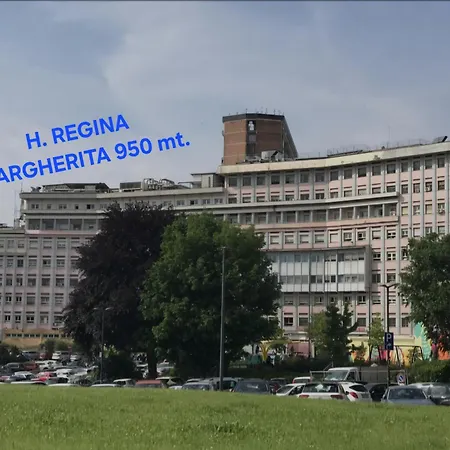 公寓 Dimora Telu' Trilocale Difronte Lingotto Fiere *