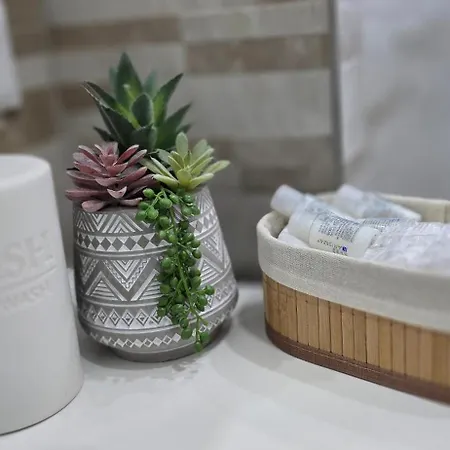 Lejlighed Dimora Telu' Trilocale Difronte Lingotto Fiere